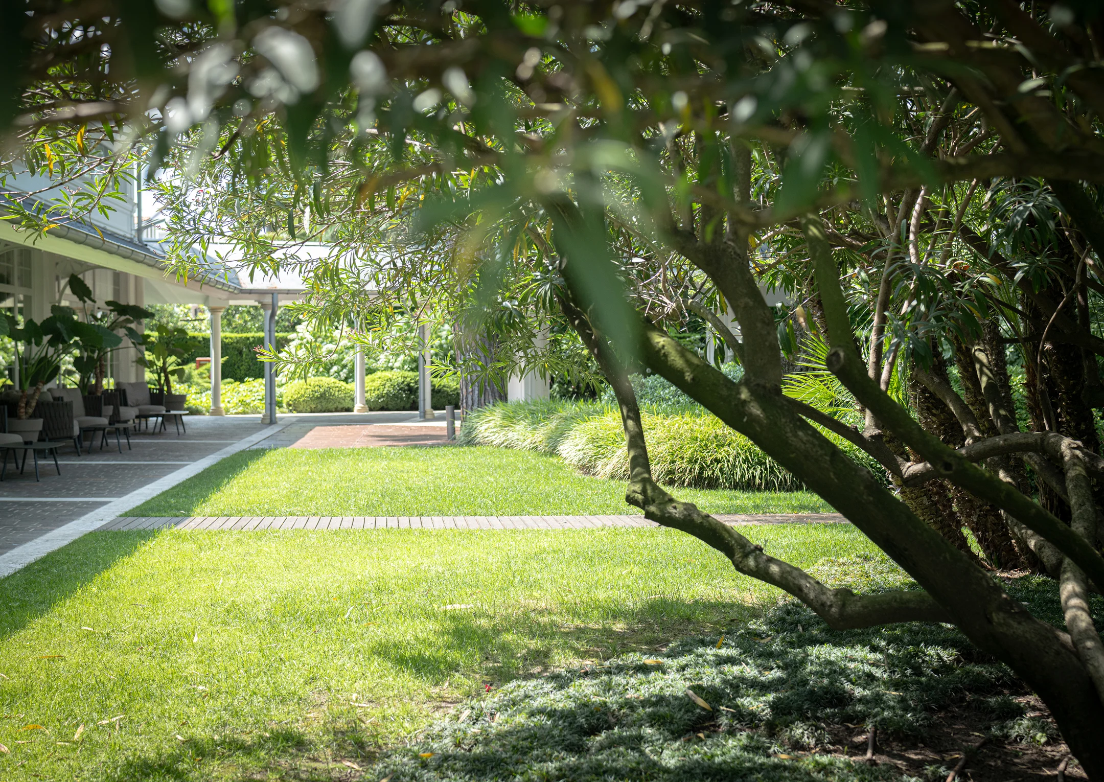 Area relax - dettaglio giardini