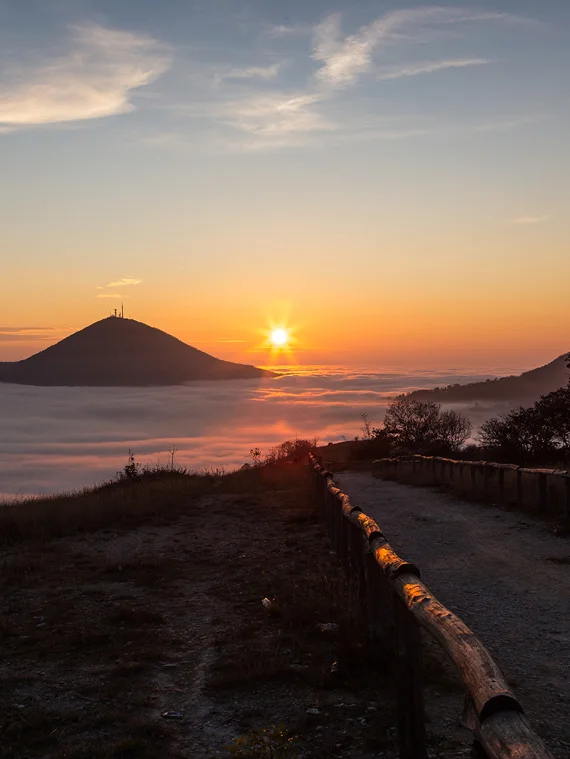 radici del benessere