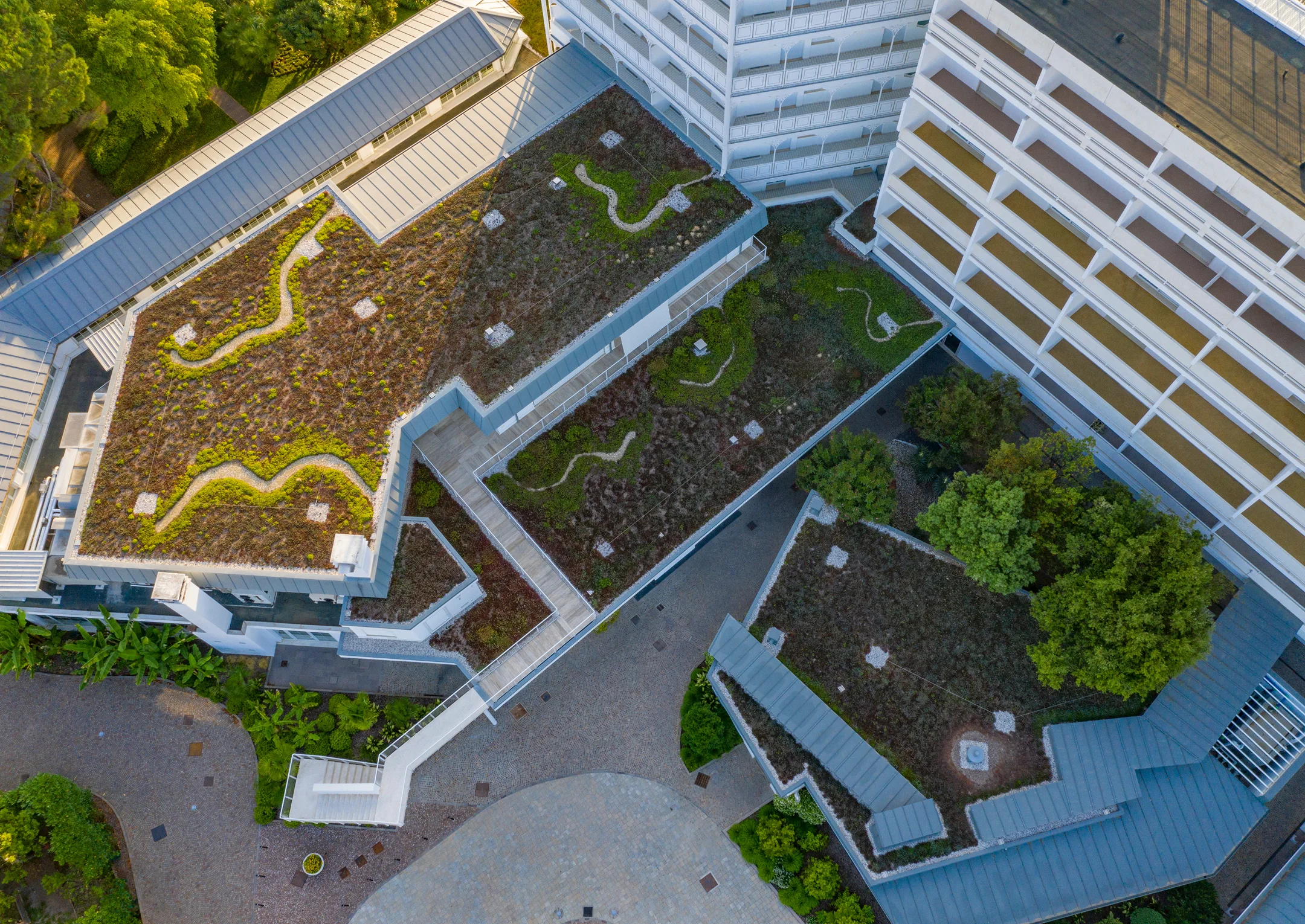 Il resort - dall'alto